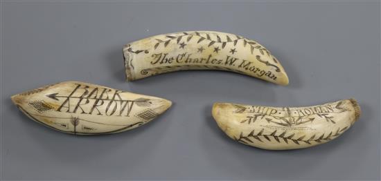 Three whales tooth scrimshaws largest 9cm
